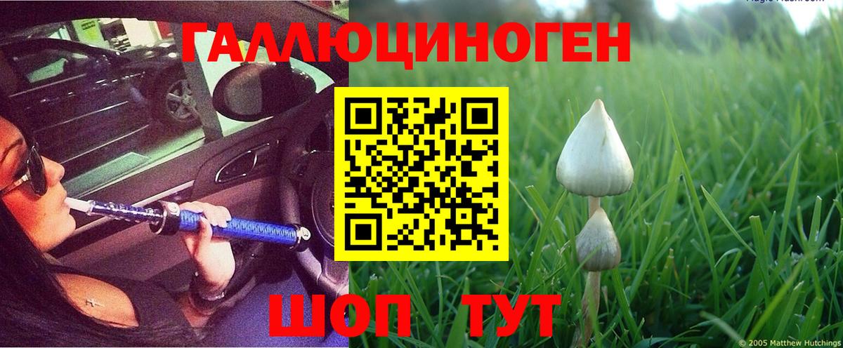 Сарапул  Псилоцибиновые грибы Magic Shrooms  Вход с VPN 
