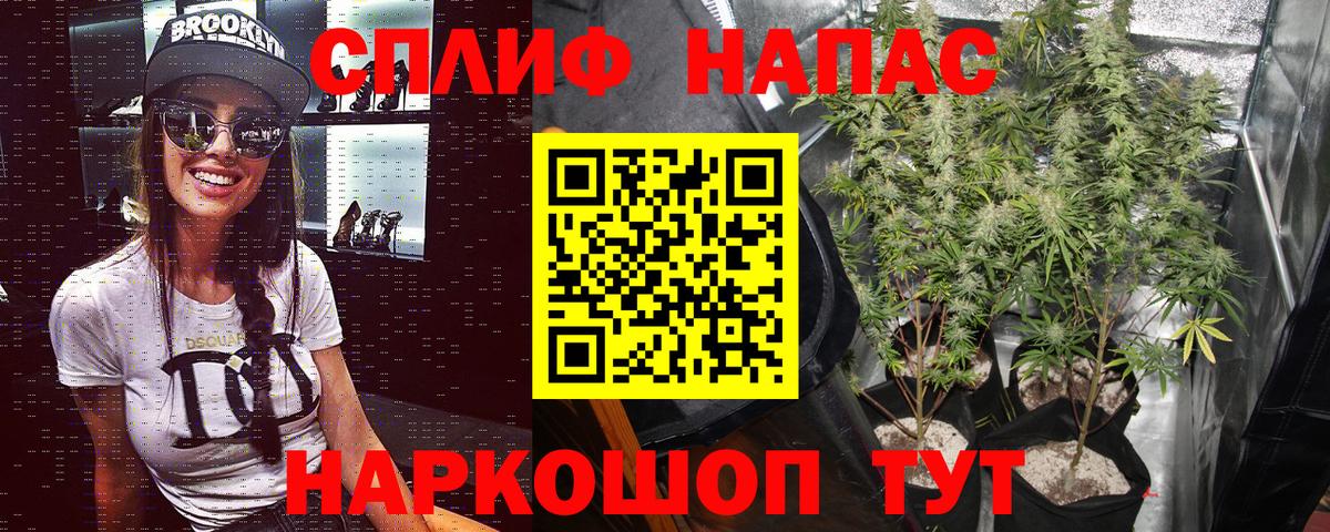 Конопля Bruce Banner  Вход с VPN  Конопля ГИДРОПОН  Сарапул 